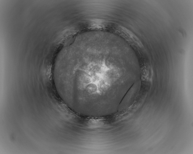 X0000110320560200906181826