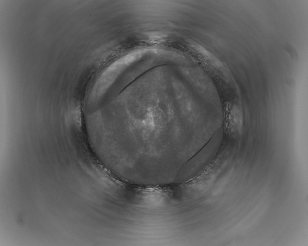 X0000110320562200906181826