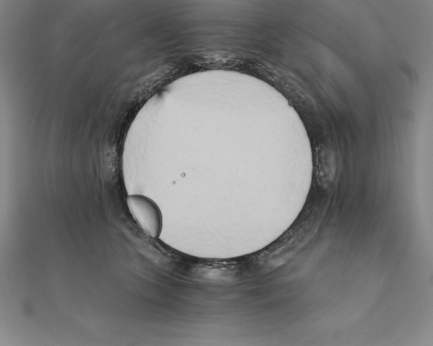 X0000110320563200906181826