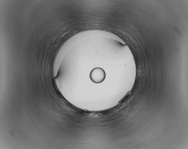 X0000110320566200906181826