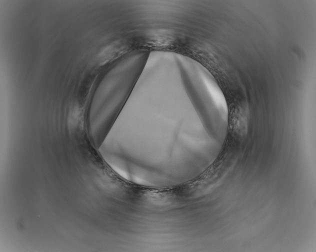 X0000110320568200906181826