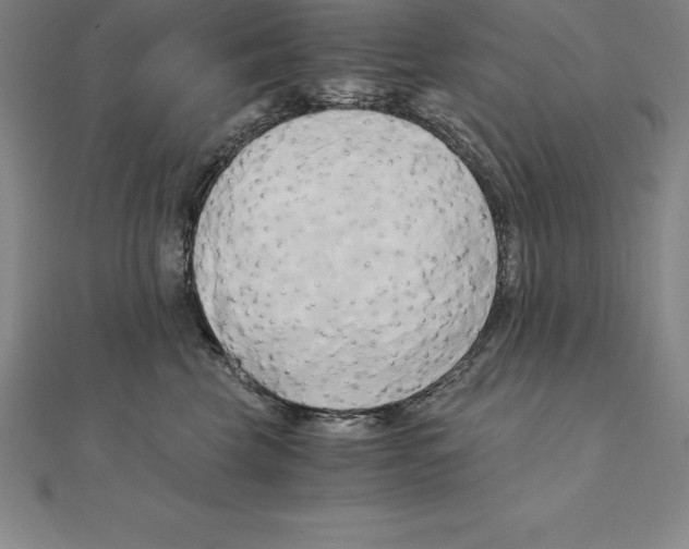 X0000110320569200906181826