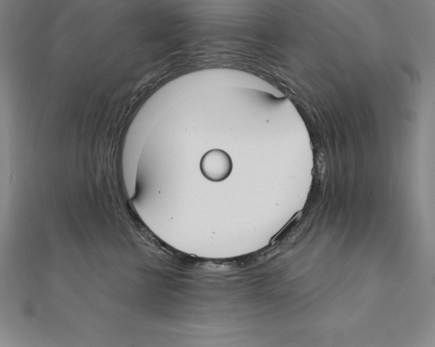 X0000110320570200906181826