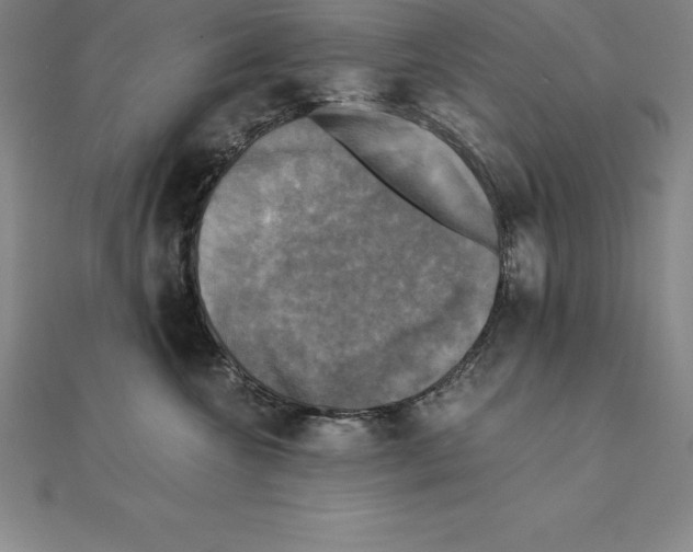 X0000110320572200906181826