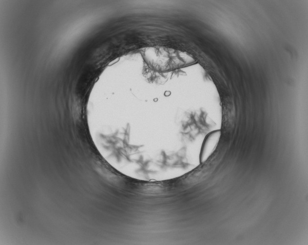 X0000110320574200906181826