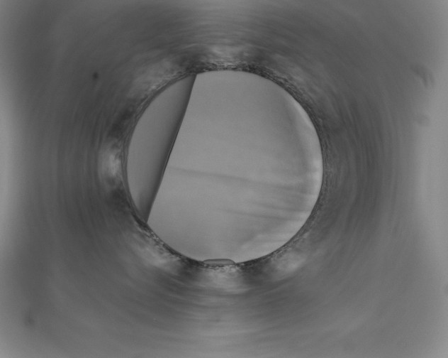 X0000110320576200906181826