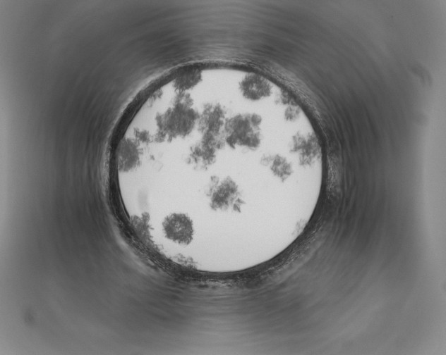 X0000110320580200906181825