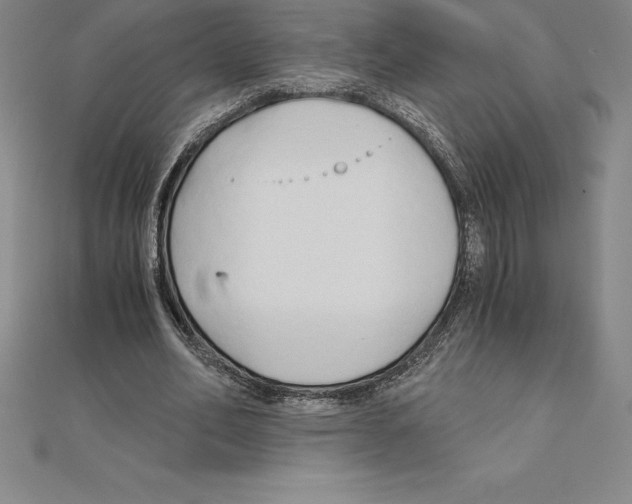 X0000110320582200906181825