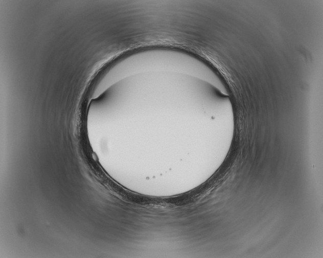 X0000110320583200906181825