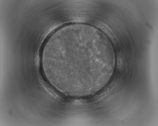 X0000110320584200906181825