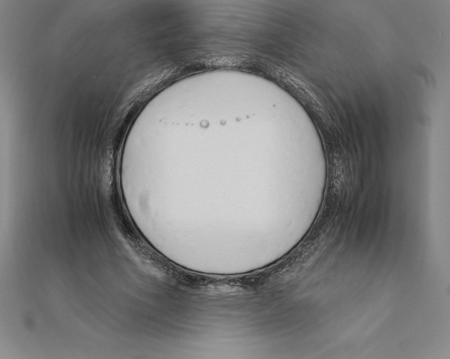 X0000110320586200906181825