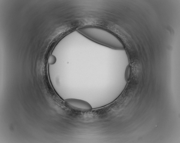 X0000110320587200906181825