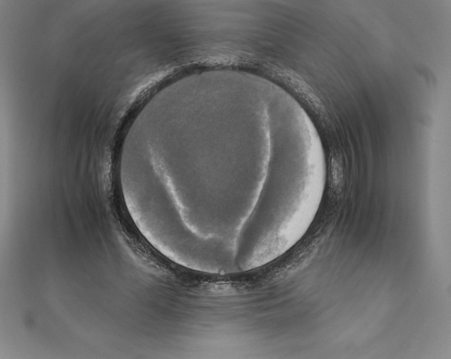 X0000110320588200906181825