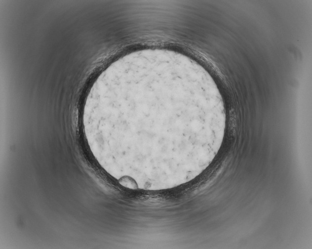 X0000110320589200906181825