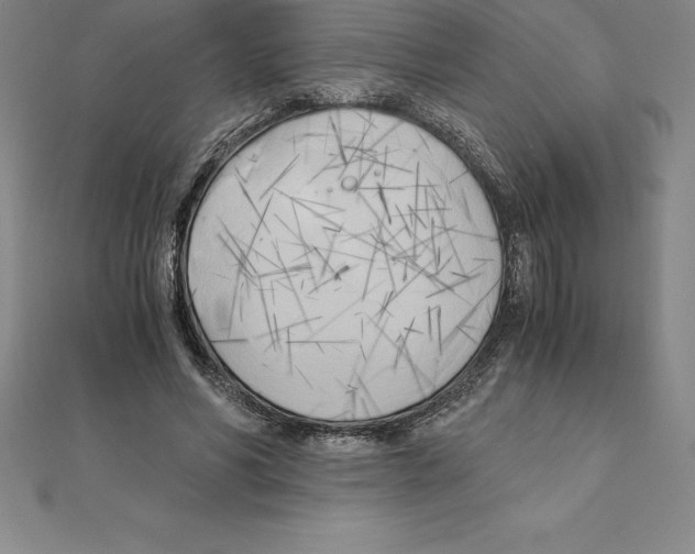 X0000110320590200906181825