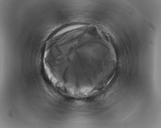 X0000110320592200906181825