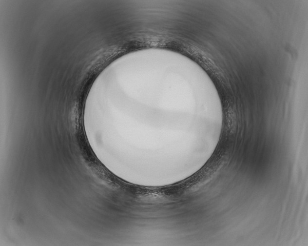 X0000110320594200906181825