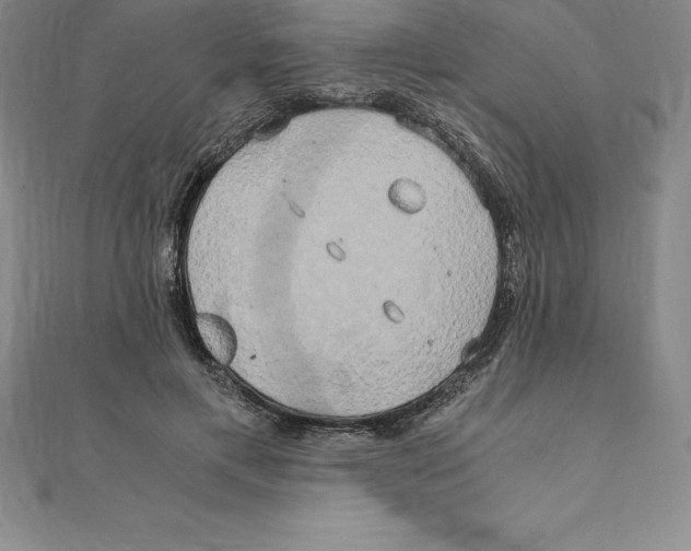 X0000110320597200906181825