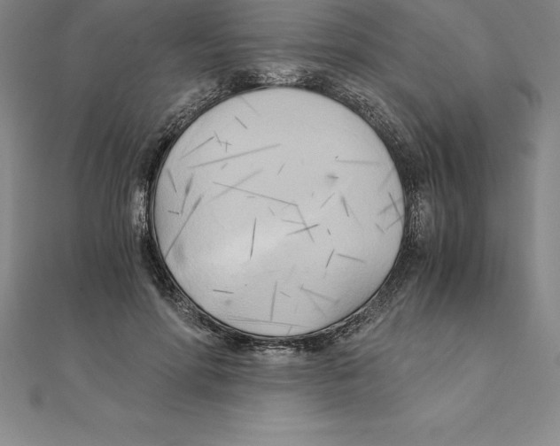 X0000110320598200906181825