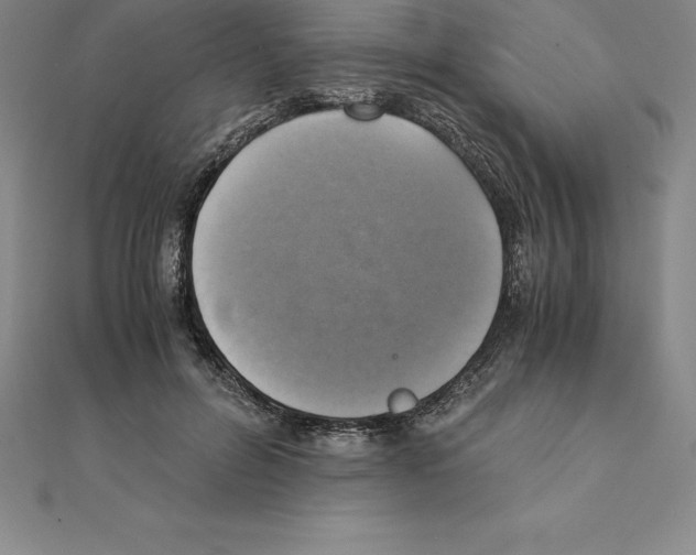 X0000110320600200906181825