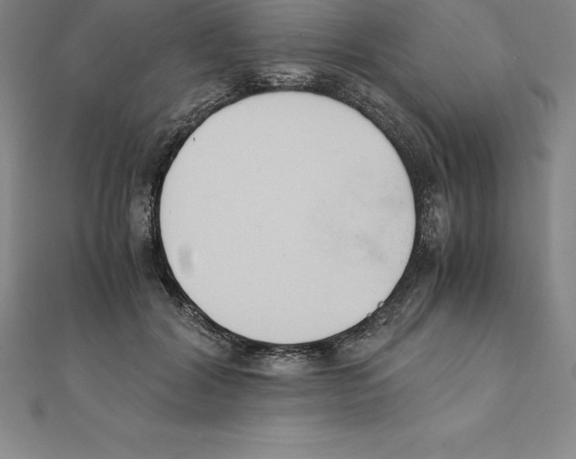 X0000110320604200906181825