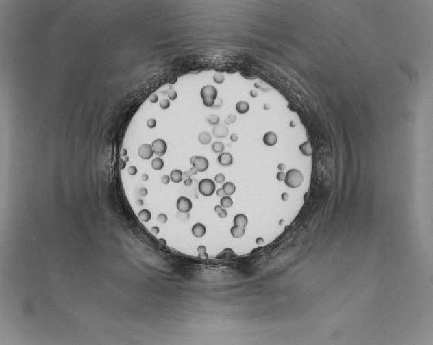 X0000110320605200906181825