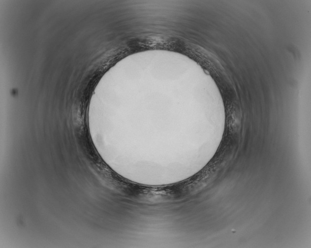 X0000110320607200906181825