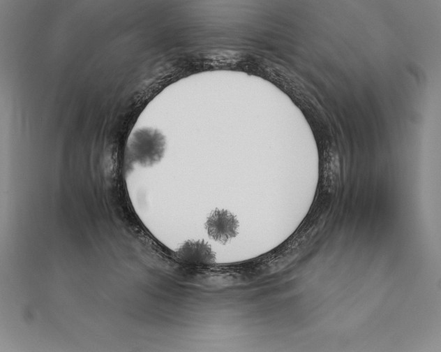 X0000110320608200906181825