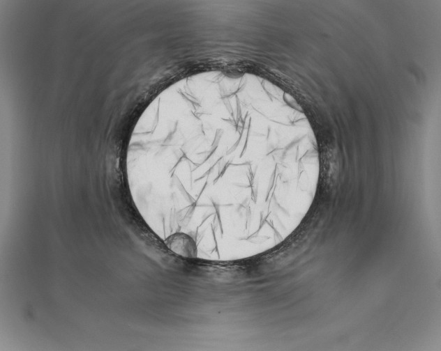 X0000110320615200906181825