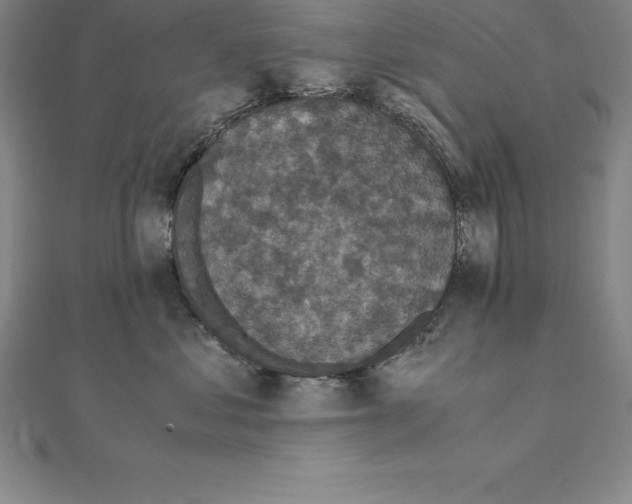 X0000110320621200906181825