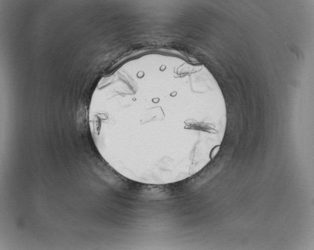 X0000110320624200906181825