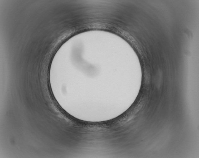 X0000110320625200906181824