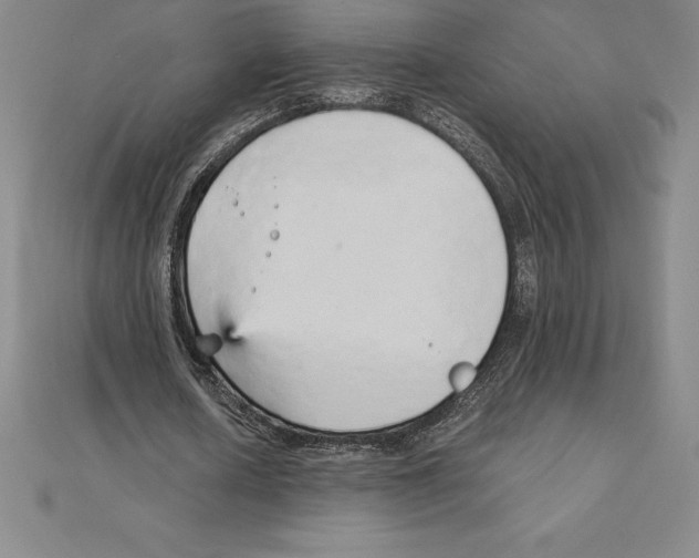 X0000110320626200906181824