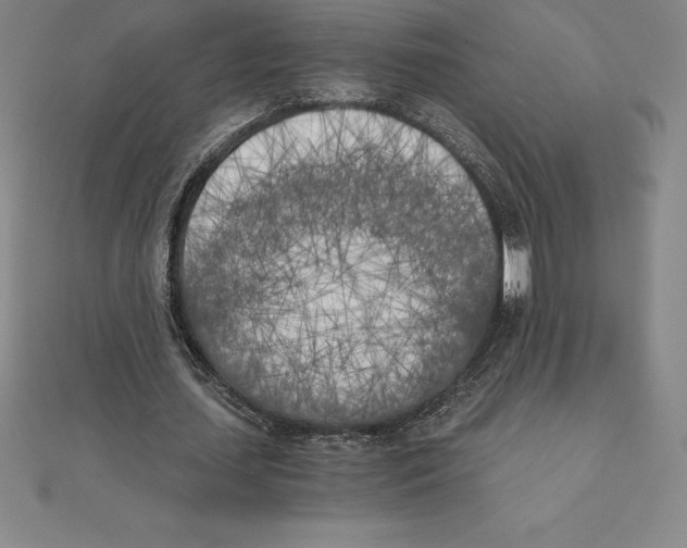 X0000110320627200906181824