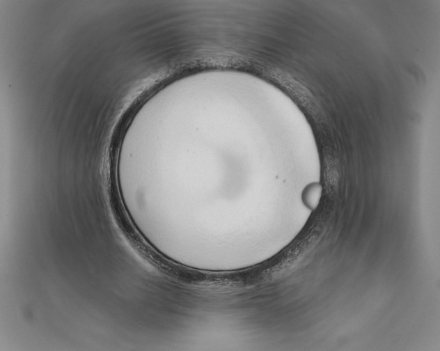 X0000110320630200906181824