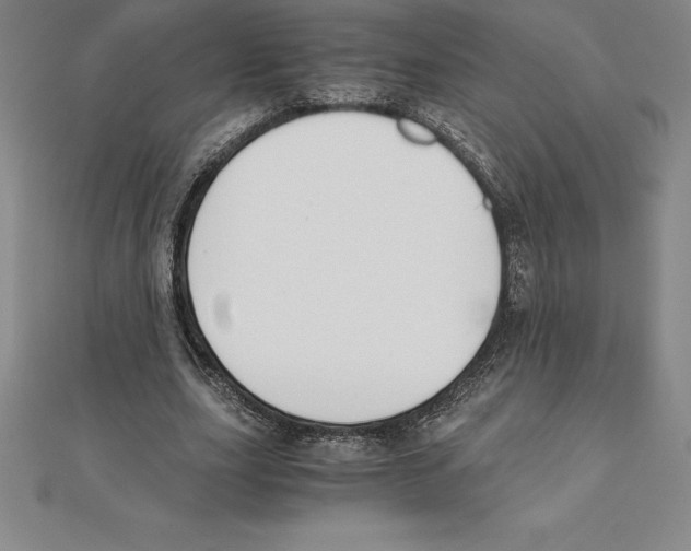 X0000110320631200906181824