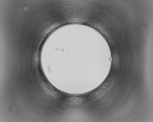 X0000110320632200906181824