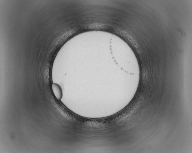 X0000110320633200906181824