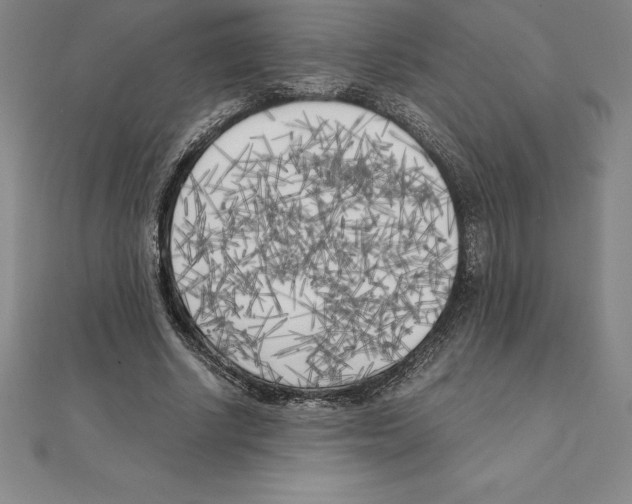 X0000110320634200906181824