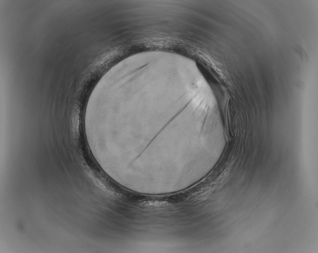 X0000110320637200906181824