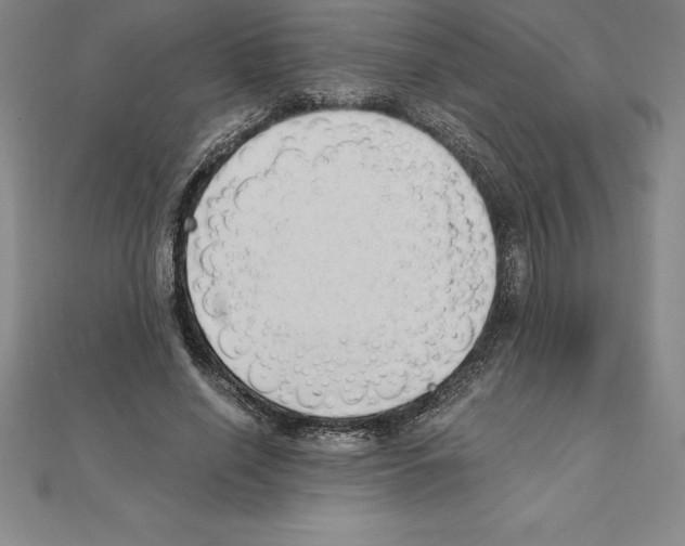 X0000110320638200906181824