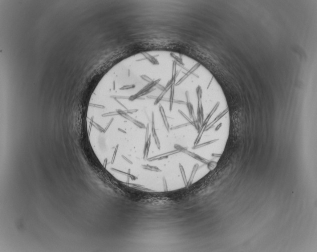 X0000110320642200906181824