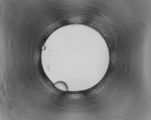 X0000110320645200906181824