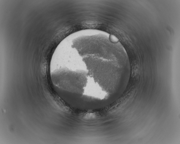 X0000110320647200906181824