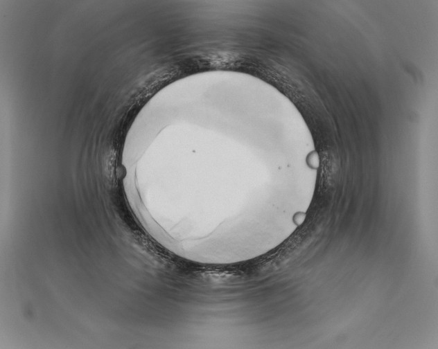 X0000110320650200906181824