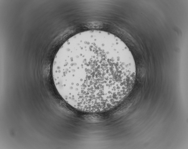 X0000110320652200906181824