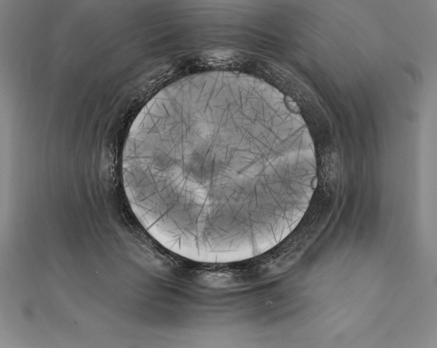 X0000110320653200906181824