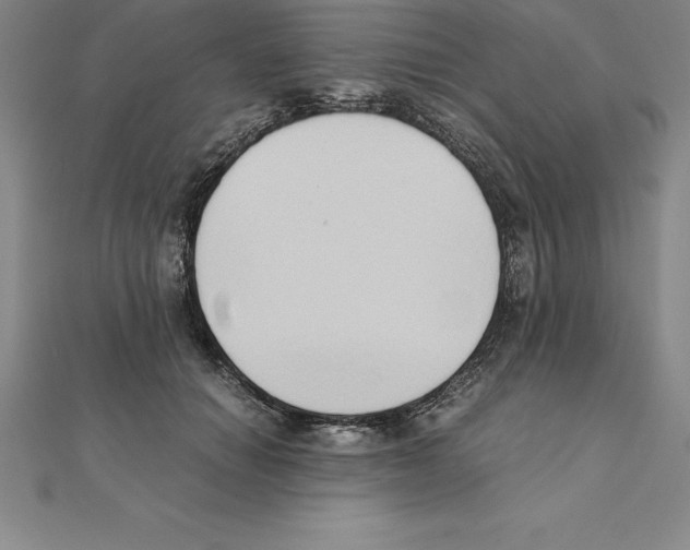 X0000110320654200906181824