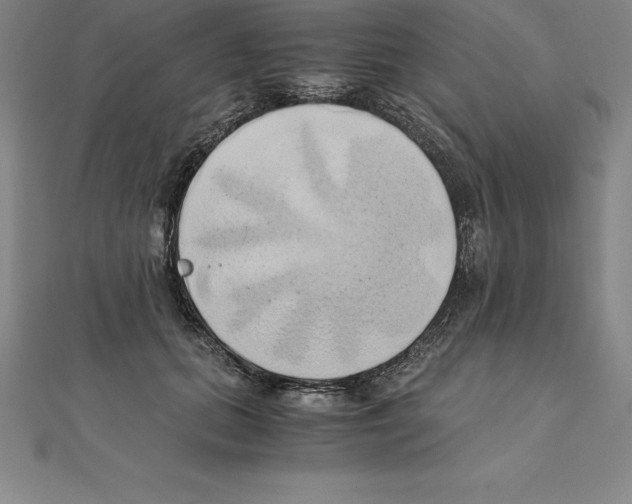 X0000110320655200906181824