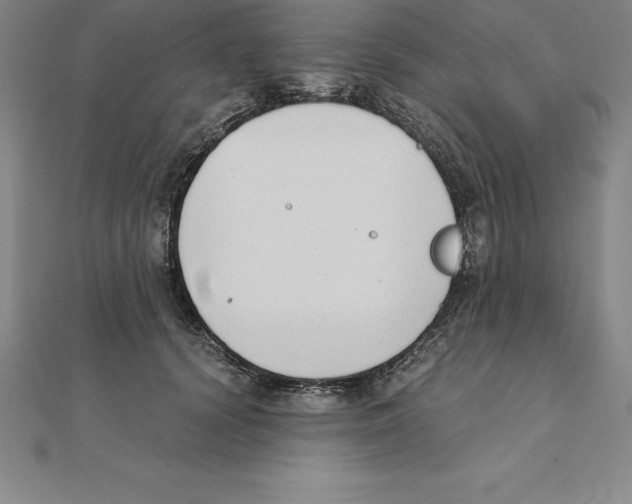 X0000110320656200906181824